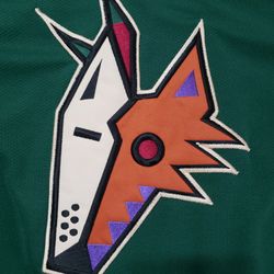 Vintage Starter Phoenix Coyotes Peyote Hockey Jersey 