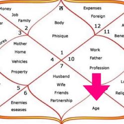 Vedic Astrology Consultation 