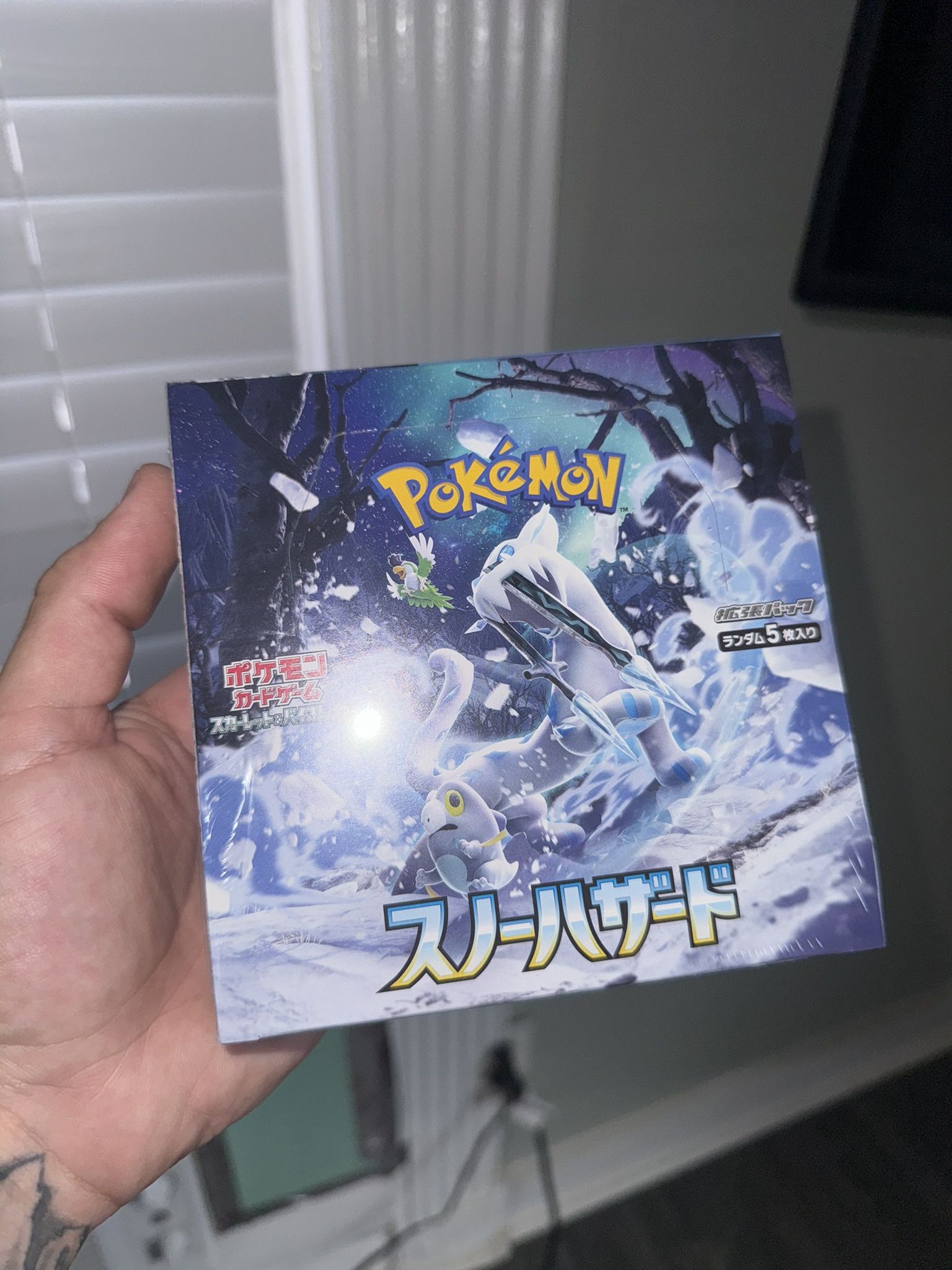 Pokemon Snow Hazard