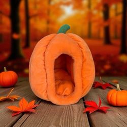 Cozy Pumpkin Cat Bed Only 15$