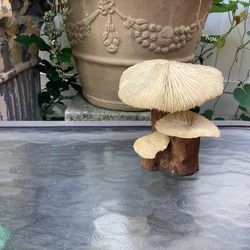 Vintage Mystical Coral & Wood Mushroom
