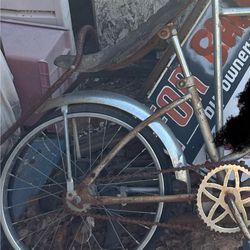 Schwinn Hooptie Bike