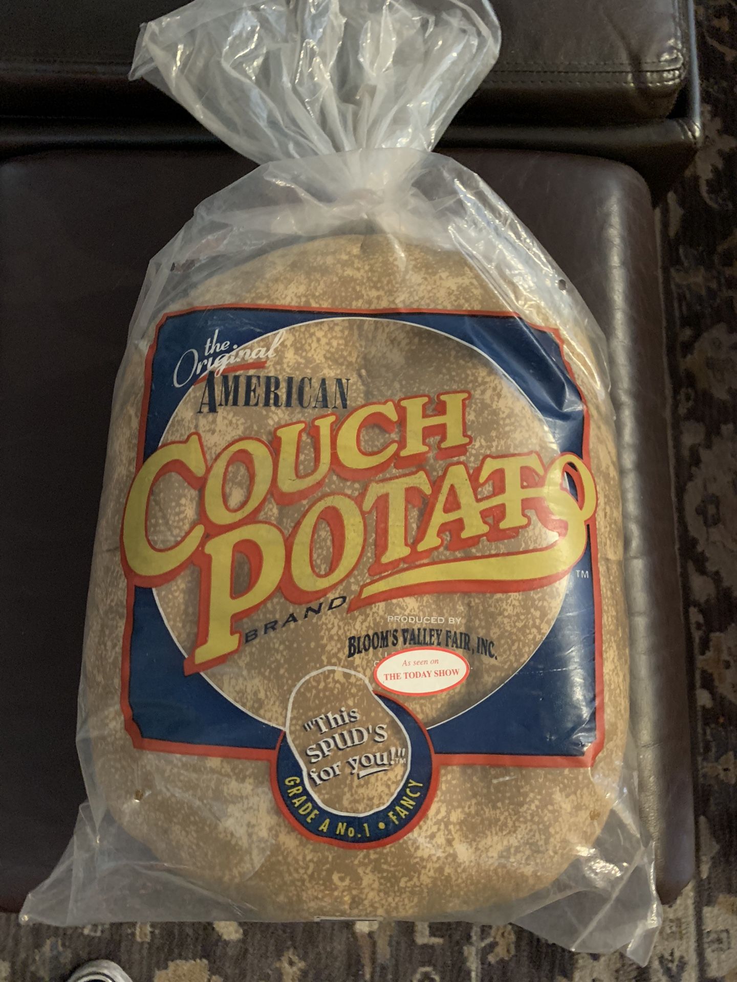 Vintage Couch Potato (Couch Pillow. Never Opened)