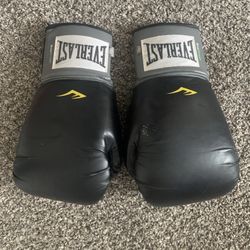 16oz Boxing Gloves Great condition!