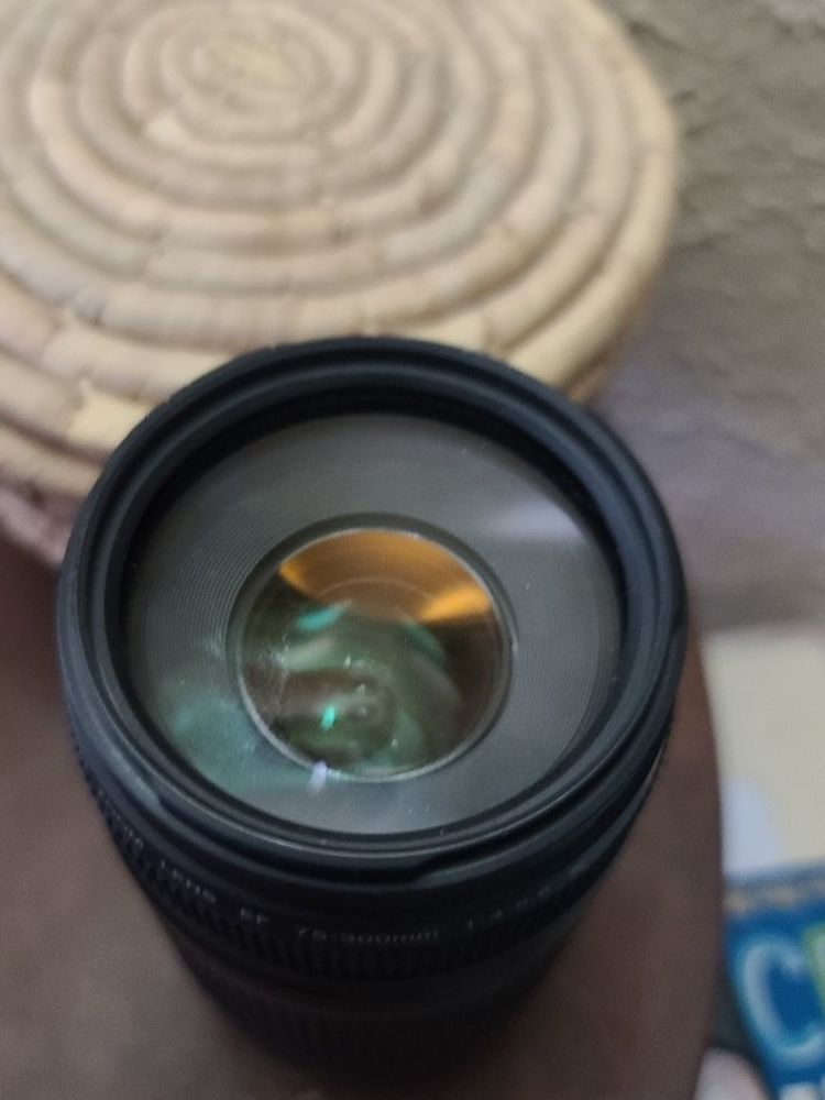Canon 300 Mm Lense