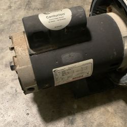 Pool Pump Motor