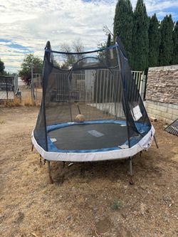 Free lil trampoline