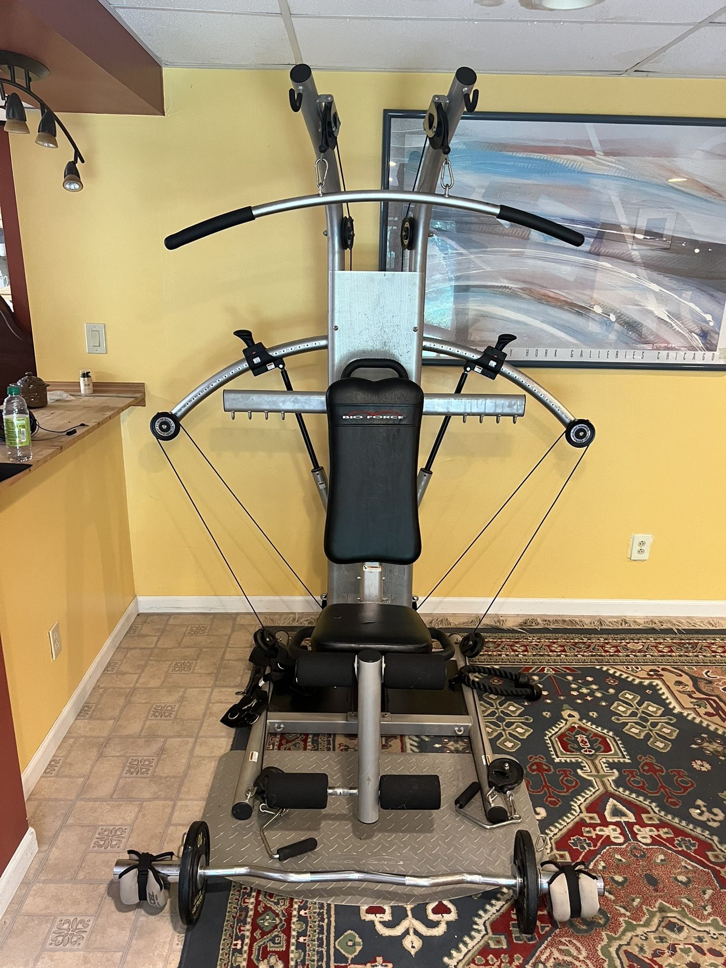 Bio-Force Gym Setup