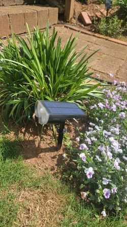 Solar Motion Lights