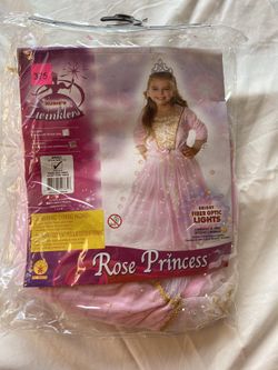 Kids Princess costume small 4-6