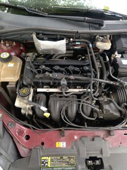 Ford Focus Engine Bay / Complete Engine