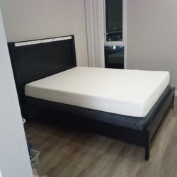Queen Bed Brand New And Matching Coffee Table
