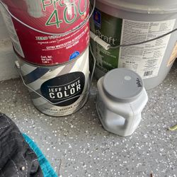 Assorted Paints, Mostly full