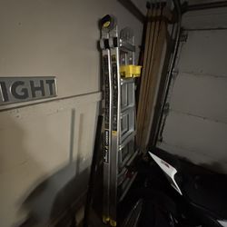 Gorilla Multi Position Ladder