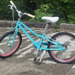 18” Guardian Teal Bike