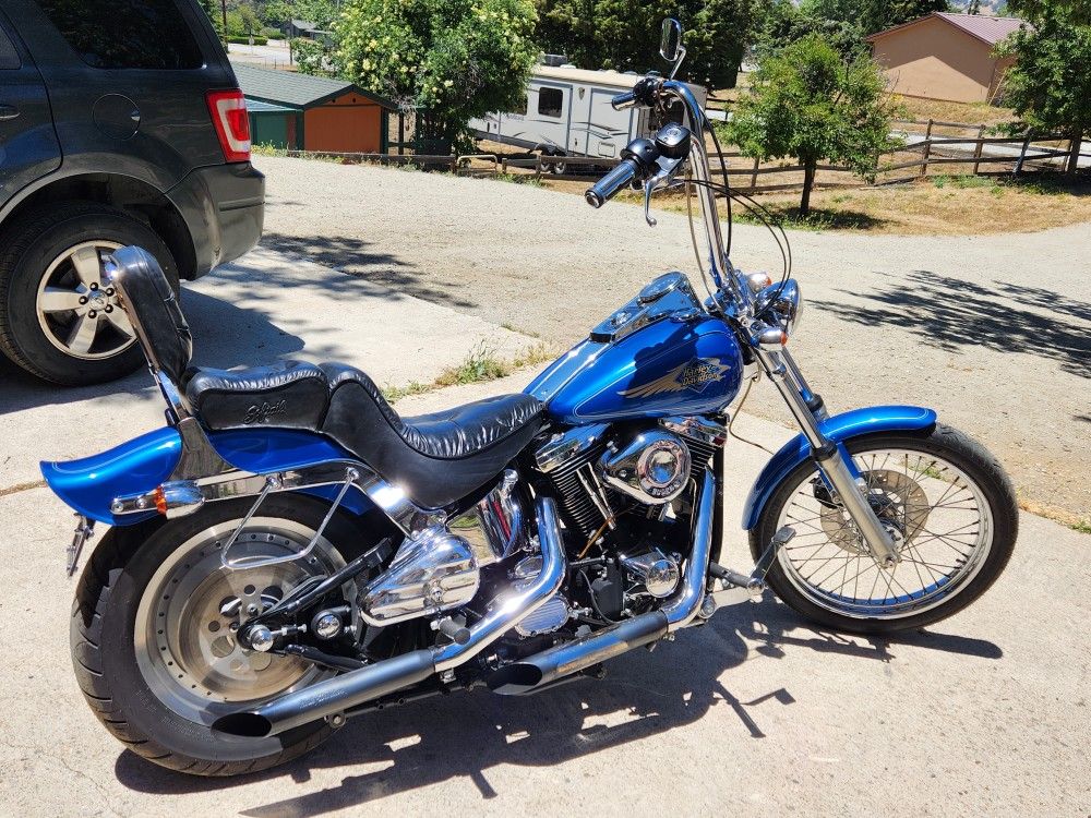 97 Softail Custom for Sale in Tehachapi, CA - OfferUp
