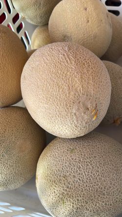 Melon’s