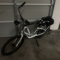 Pedego Ebike 160 miles