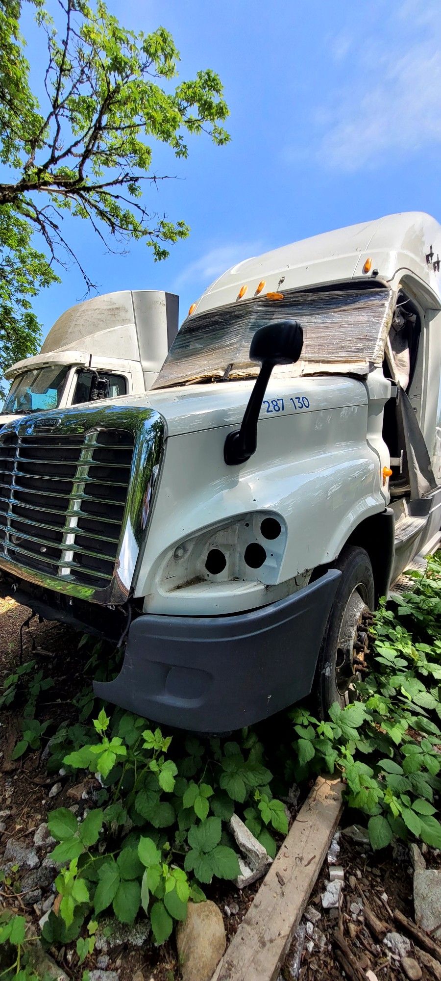 Freightliner Cascadia Semi Truck Parts