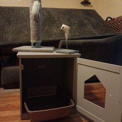 Cat House Litter Box Plus Two Scratch Toys