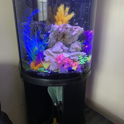 40 Gallon Fish Tank, Have A Moon