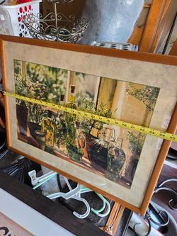Herbs picture