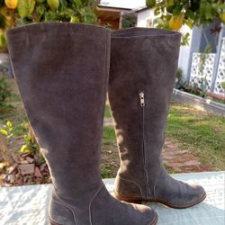 Daley tall boot top