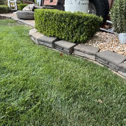 Empleado para Jardinería 