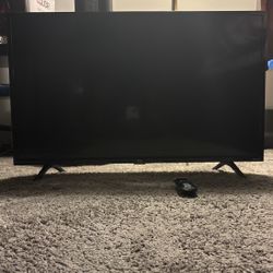 Smart Roku TV 