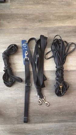 leashes