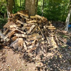 Seasoned Firewood 