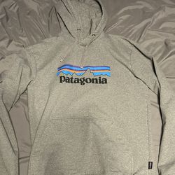 Patagonia grey hoodie