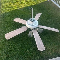 Free Ceiling Fan 