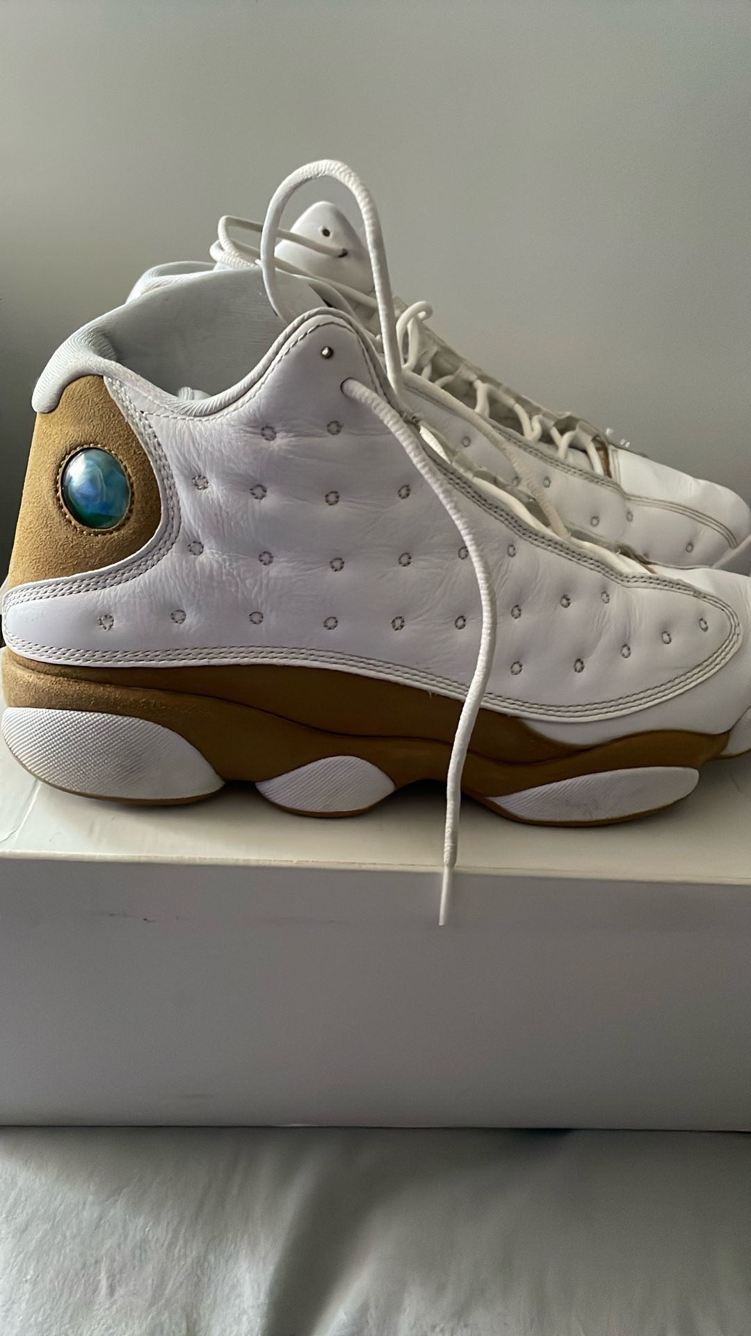 Jordan 13
