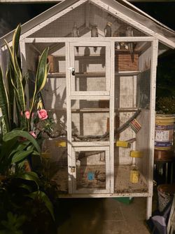 Cacatua cage