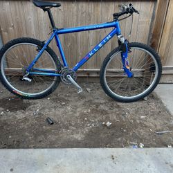 Vintage Klein Attitude Comp