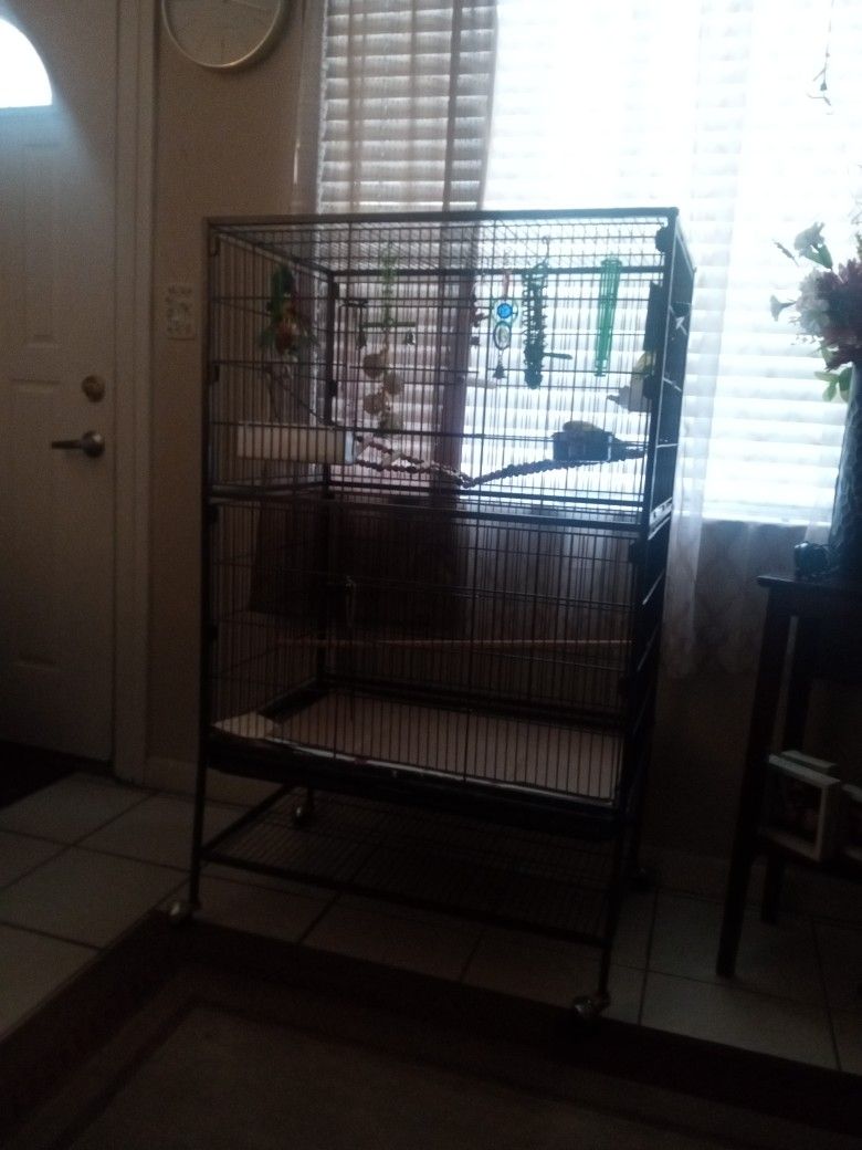 Bird Cage