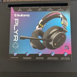Skullcandy PLYR Headphones