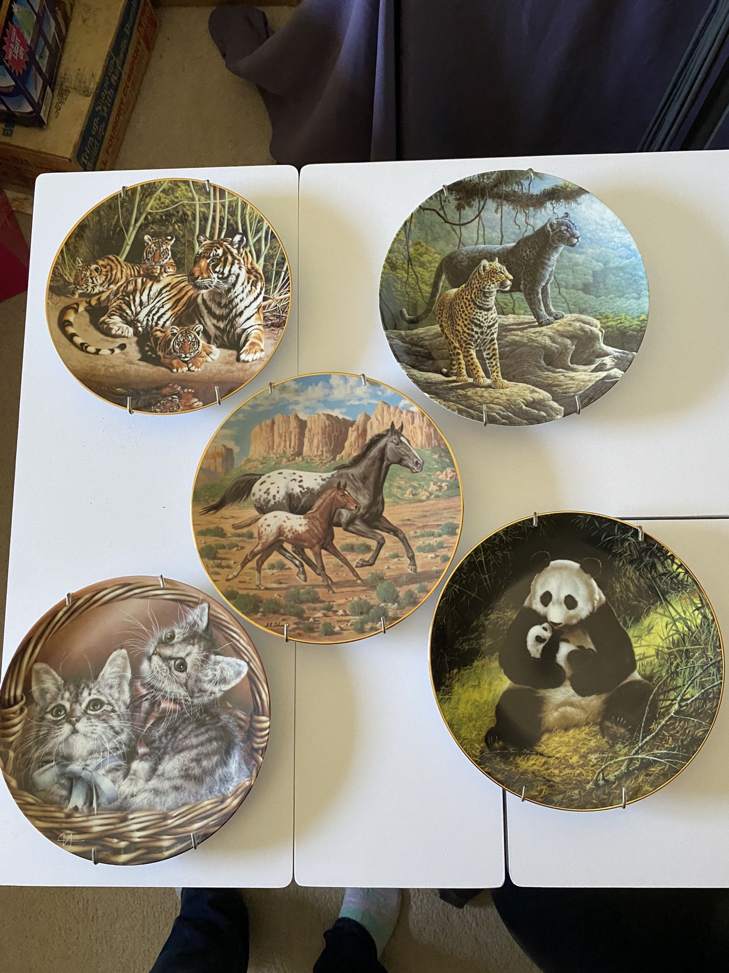 Animal China Plates 