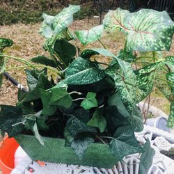 Artificial Plant In Nice Metal Container 