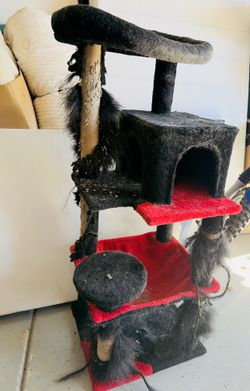 Used Cat Tree Free