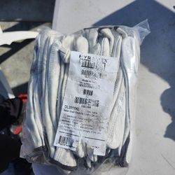 Pyramex Gloves