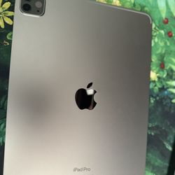 IPad Pro M2 11”
