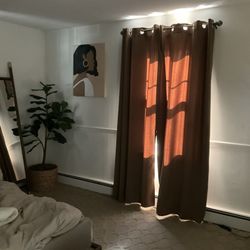 Brown Curtains