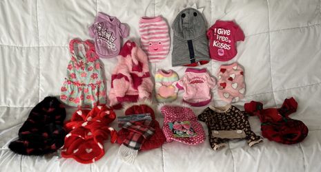 Puppy Outfit Outfits 