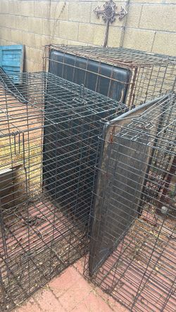 kennel cages