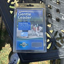 Dog Leash Training Center 