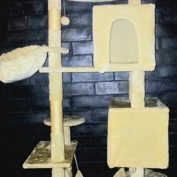 😻 Plush Kitty Kat Mansion