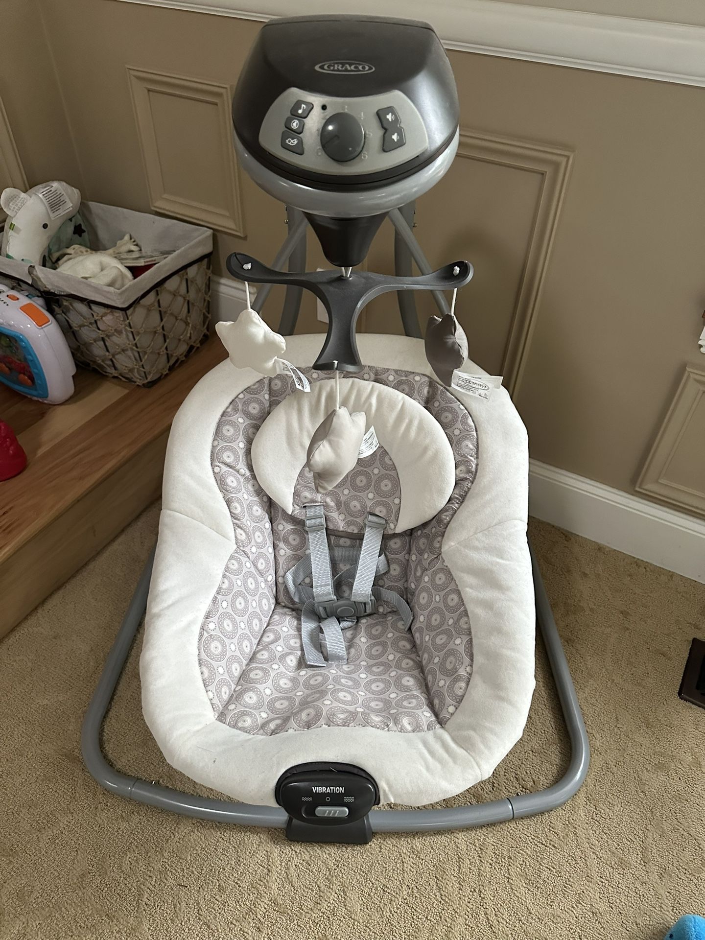 Graco Infant Swing