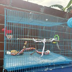 Bird Cage With Accessories 
